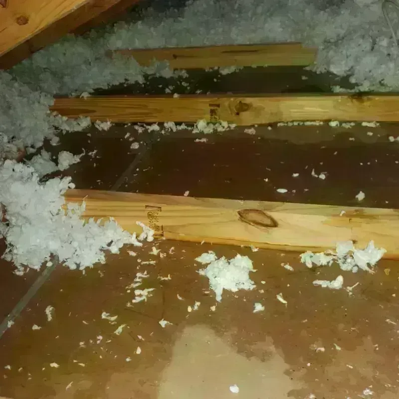 Attic Water Damage in Amelia, LA