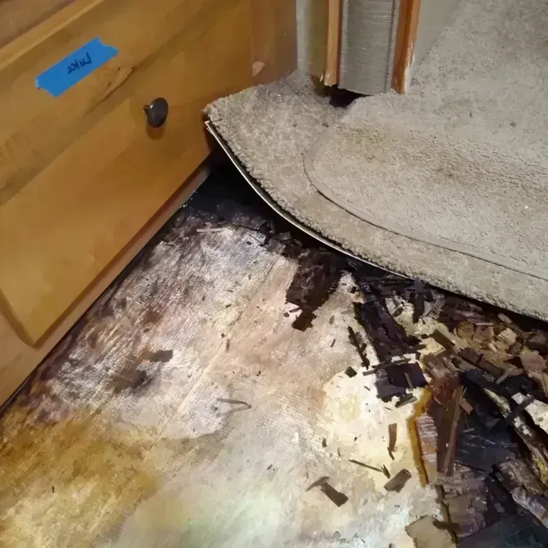 Wood Floor Water Damage in Amelia, LA